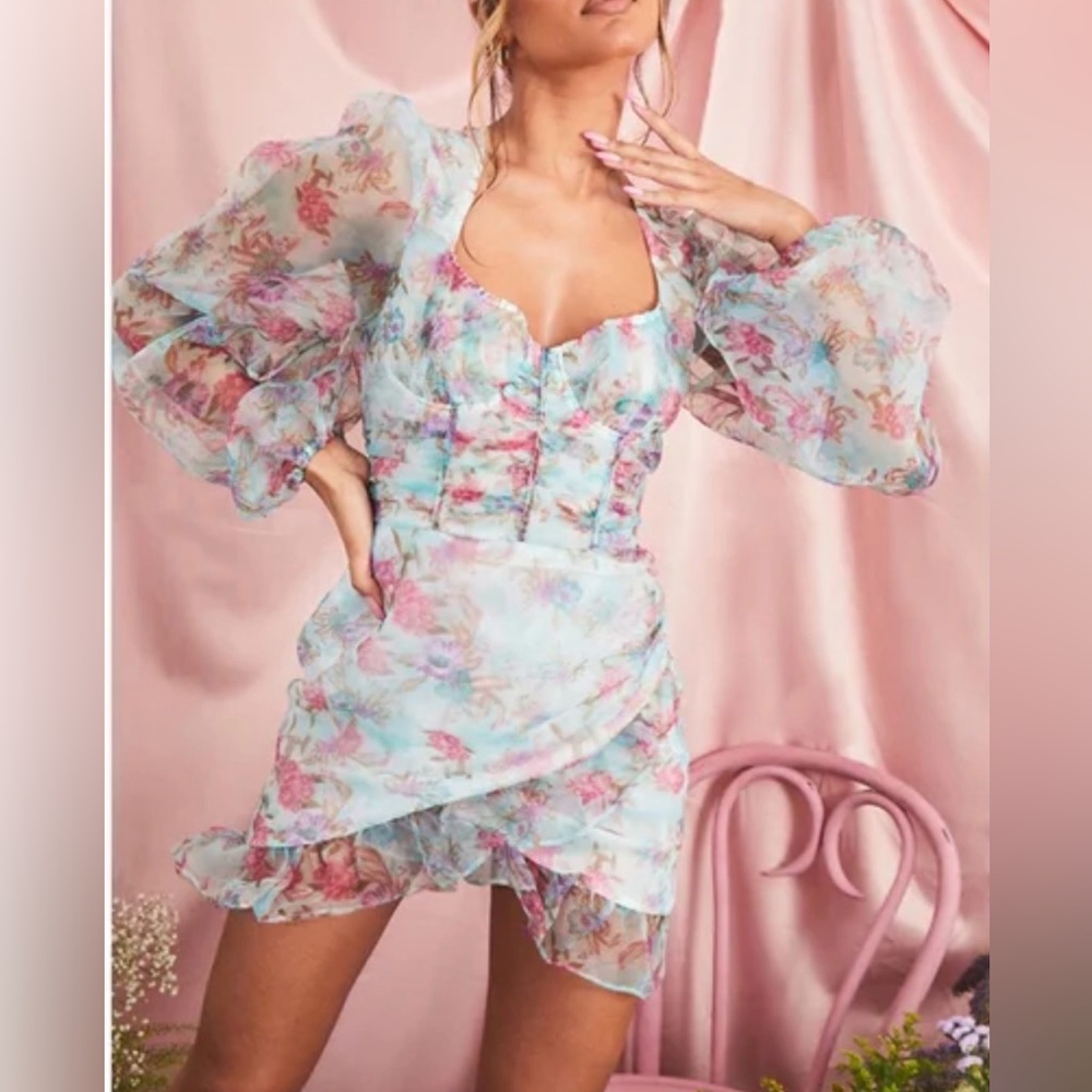 PrettyLittleThing-Multi Floral Organza, Puff sleeve dress